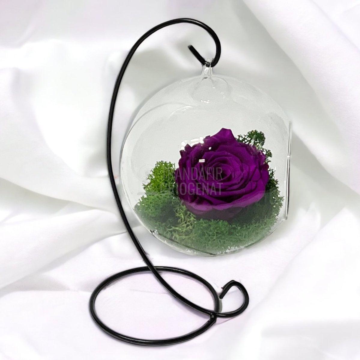 Trandafir Criogenat purpuriu in glob sticla suspendat Ø12cm - Trandafir-Criogenat.ro