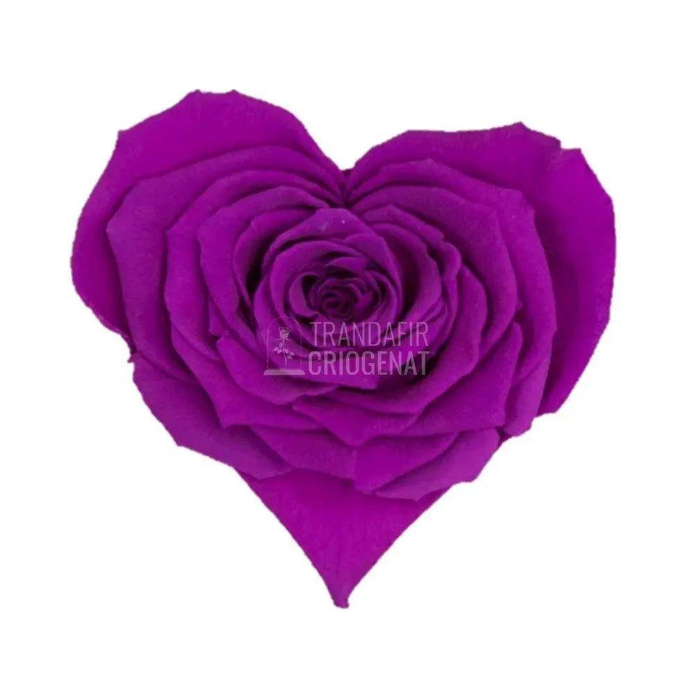 Trandafir Criogenat purpuriu inima Ø8cm in cupola 10x20cm - Trandafir-Criogenat.ro