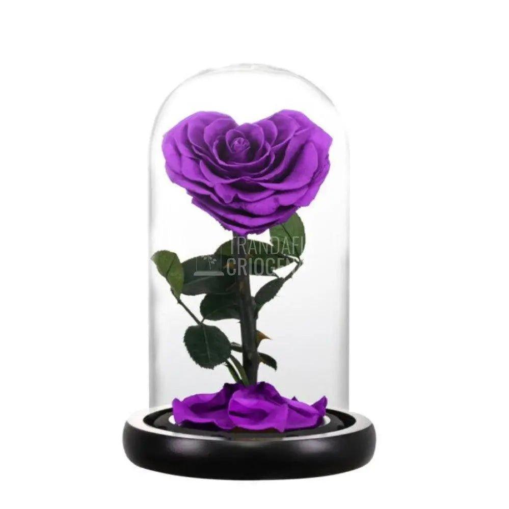 Trandafir Criogenat purpuriu inima Ø8cm in cupola 10x20cm - Trandafir-Criogenat.ro