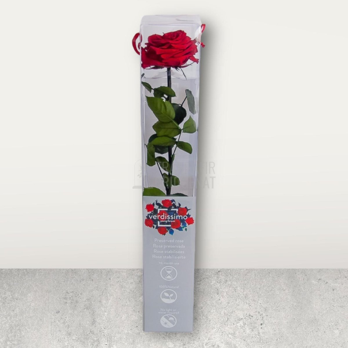 Trandafir Criogenat rosu Amorosa Premium in cutie cadou - Trandafir-Criogenat.ro