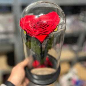 Trandafir Criogenat rosu in forma de inima in cupola 12x25cm - Trandafir-Criogenat.ro
