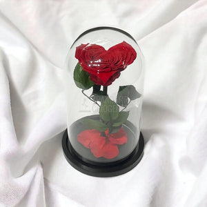 Trandafir Criogenat rosu in forma de inima in cupola 15x25cm - Trandafir-Criogenat.ro