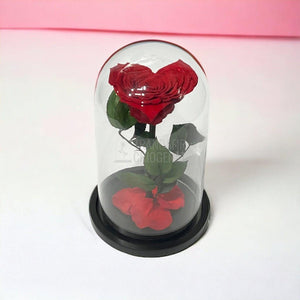 Trandafir Criogenat rosu in forma de inima in cupola 15x25cm - Trandafir-Criogenat.ro