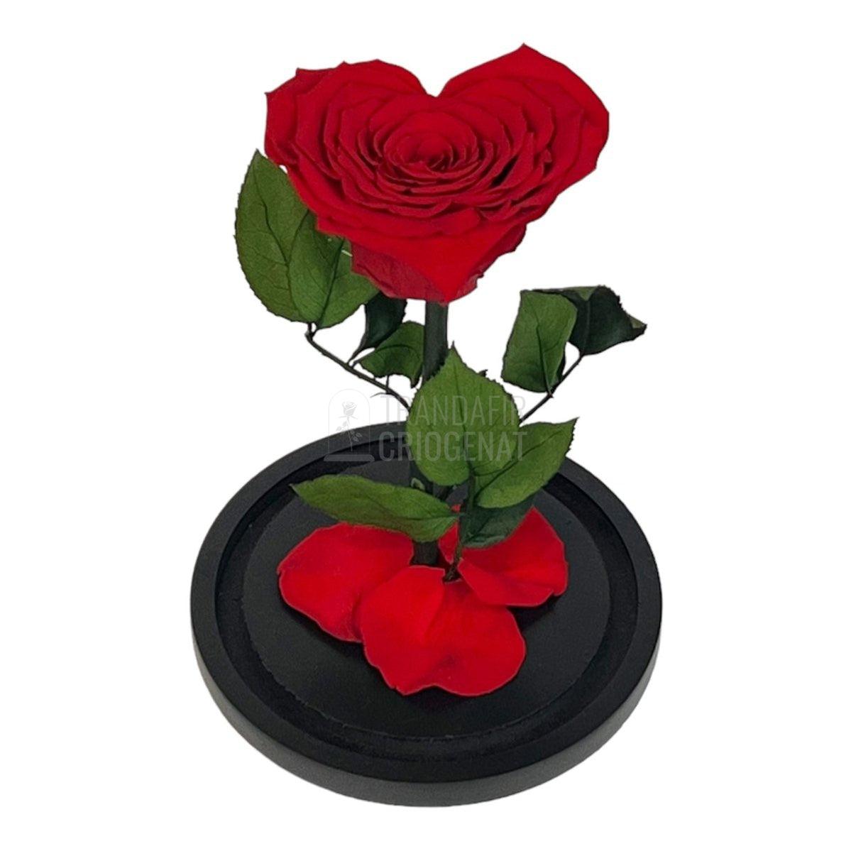 Trandafir Criogenat rosu in forma de inima in cupola 15x25cm - Trandafir-Criogenat.ro