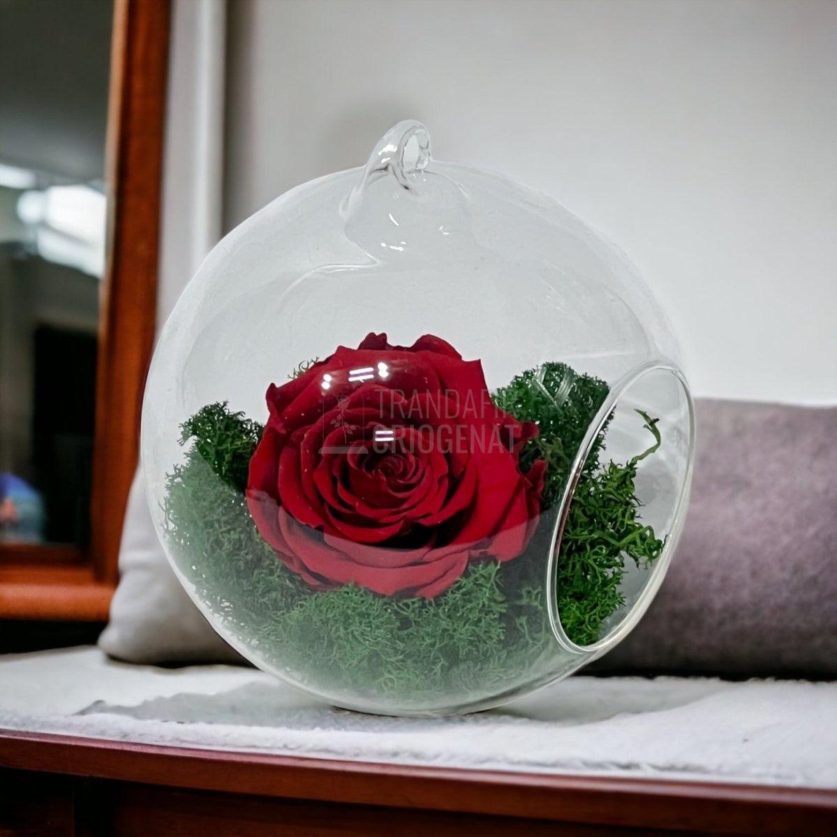 Trandafir Criogenat rosu in glob de sticla Ø12cm - Trandafir-Criogenat.ro