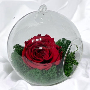 Trandafir Criogenat rosu in glob de sticla Ø12cm - Trandafir-Criogenat.ro