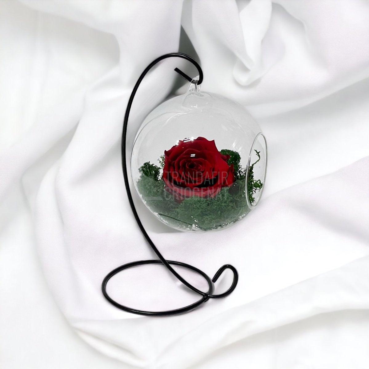 Trandafir Criogenat rosu in glob de sticla suspendat Ø12cm - Trandafir-Criogenat.ro