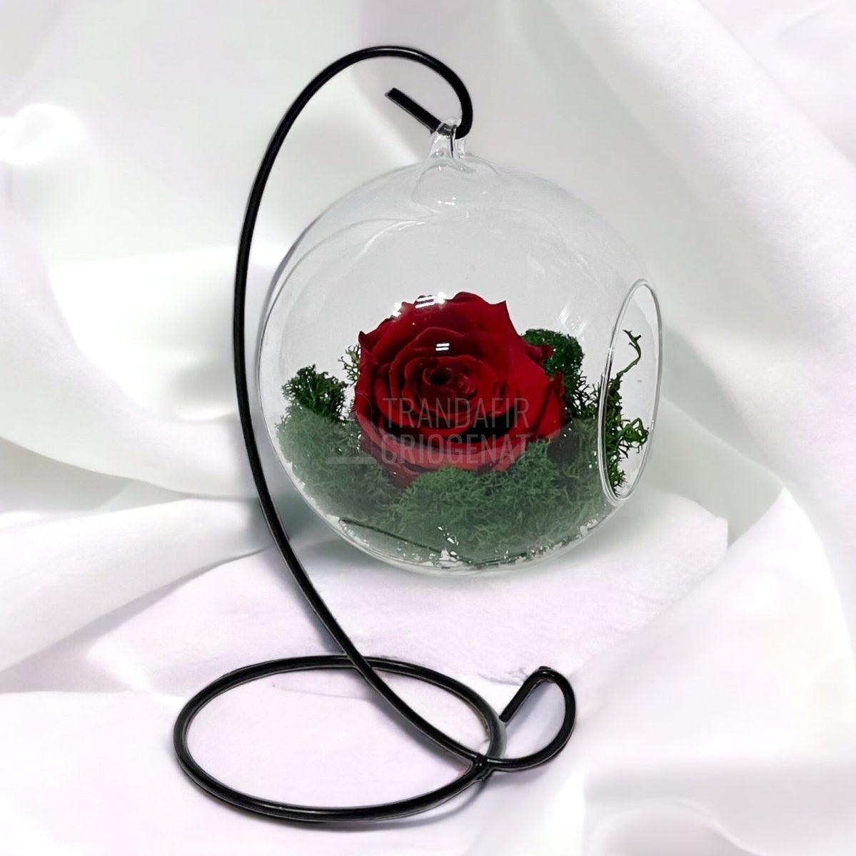 Trandafir Criogenat rosu in glob de sticla suspendat Ø12cm - Trandafir-Criogenat.ro