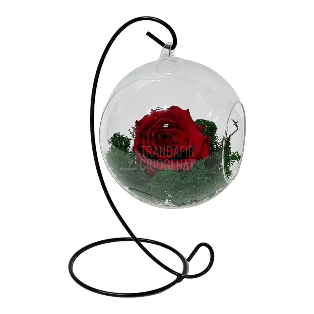 Trandafir Criogenat rosu in glob de sticla suspendat Ø12cm - Trandafir-Criogenat.ro
