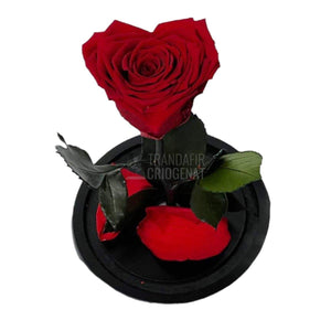 Trandafir Criogenat rosu inima Ø8cm in cupola 10x20cm - Trandafir-Criogenat.ro