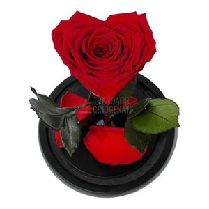 Trandafir Criogenat rosu inima Ø8cm in cupola 10x20cm - Trandafir-Criogenat.ro