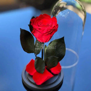 Trandafir Criogenat rosu Ø6,5cm in cupola de sticla, cadou - Trandafir-Criogenat.ro