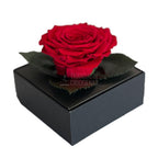 Trandafir Criogenat rosu Ø7-8cm in cutie cadou 10x10x11cm - Trandafir-Criogenat.ro