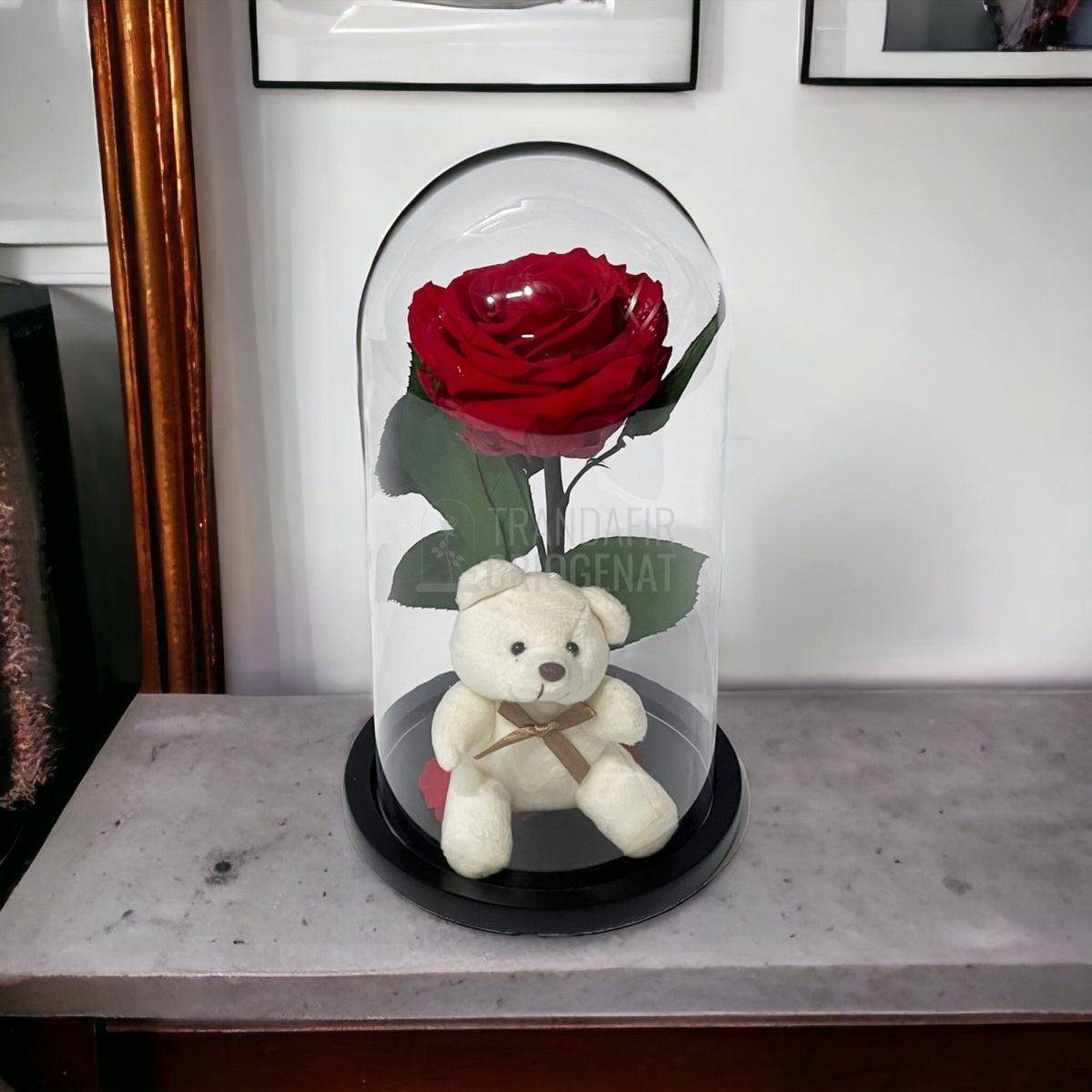 Trandafir Criogenat rosu Ø8cm in cupola de sticla cu Ursulet - Trandafir-Criogenat.ro