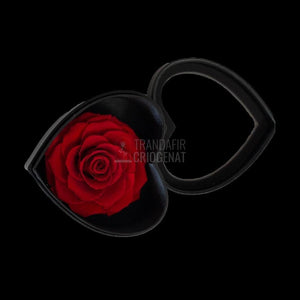 Trandafir Criogenat rosu Ø9cm in cutie inima 13x13x8cm - Trandafir-Criogenat.ro