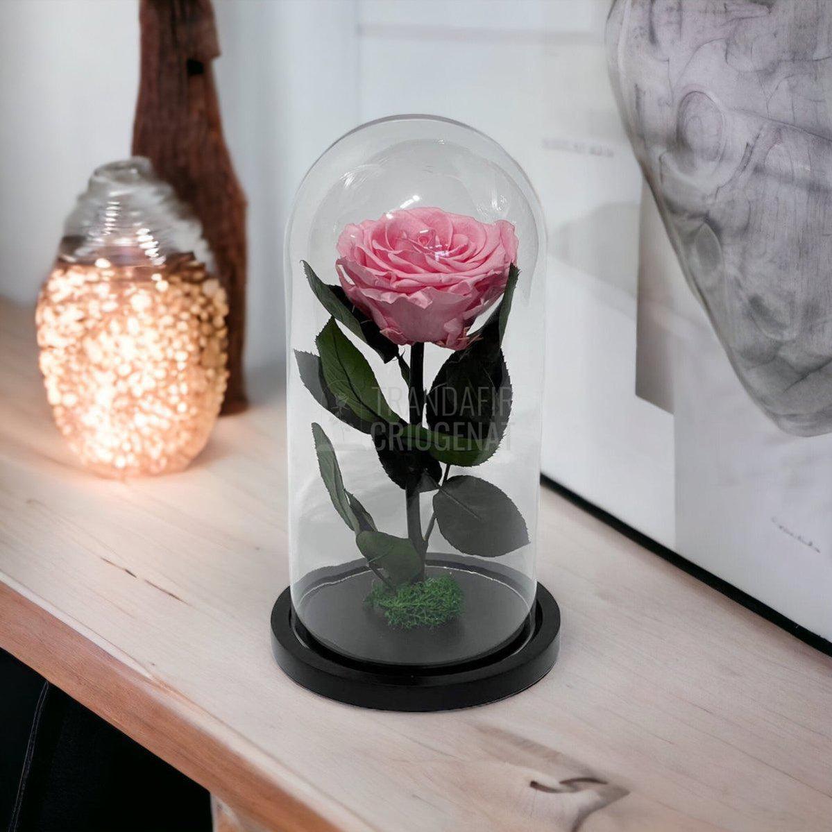 Trandafir Criogenat roz deschis Ø8cm in cupola de sticla, cu mesaj - Trandafir-Criogenat.ro