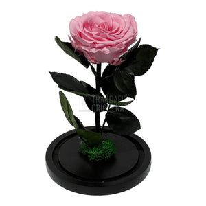 Trandafir Criogenat roz deschis Ø8cm in cupola de sticla, cu mesaj - Trandafir-Criogenat.ro