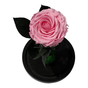 Trandafir Criogenat roz deschis Ø8cm in cupola de sticla, cu mesaj - Trandafir-Criogenat.ro