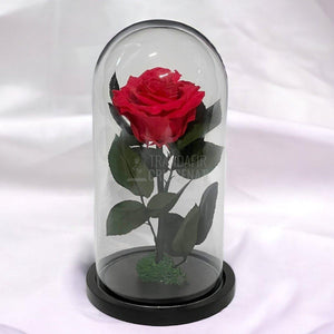 Trandafir Criogenat roz inchis Ø8cm in cupola sticla 12x25cm - Trandafir-Criogenat.ro