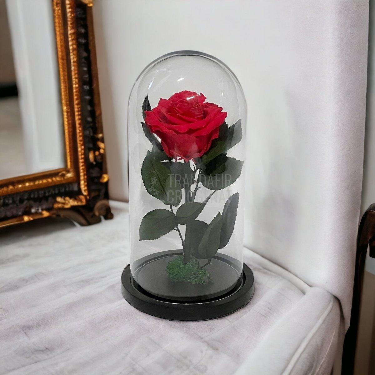 Trandafir Criogenat roz inchis Ø8cm in cupola sticla 12x25cm - Trandafir-Criogenat.ro