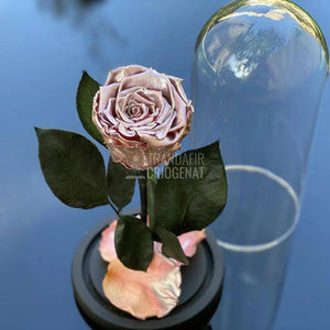 Trandafir Criogenat roz metalizat Ø6,5cm in cupola 10x20cm - Trandafir-Criogenat.ro