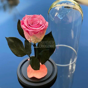 Trandafir Criogenat roz Ø6,5cm in cupola de sticla 10x20cm - Trandafir-Criogenat.ro