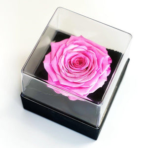 Trandafir Criogenat roz Ø7-8cm in cutie cadou 10x10x11cm - Trandafir-Criogenat.ro