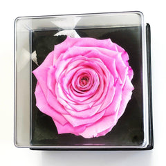 Trandafir Criogenat roz Ø7-8cm in cutie cadou 10x10x11cm - Trandafir-Criogenat.ro