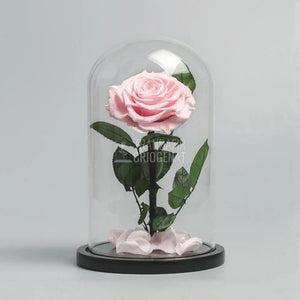 Trandafir Criogenat roz Ø9,5cm in cupola sticla mare 15x25cm - Trandafir-Criogenat.ro