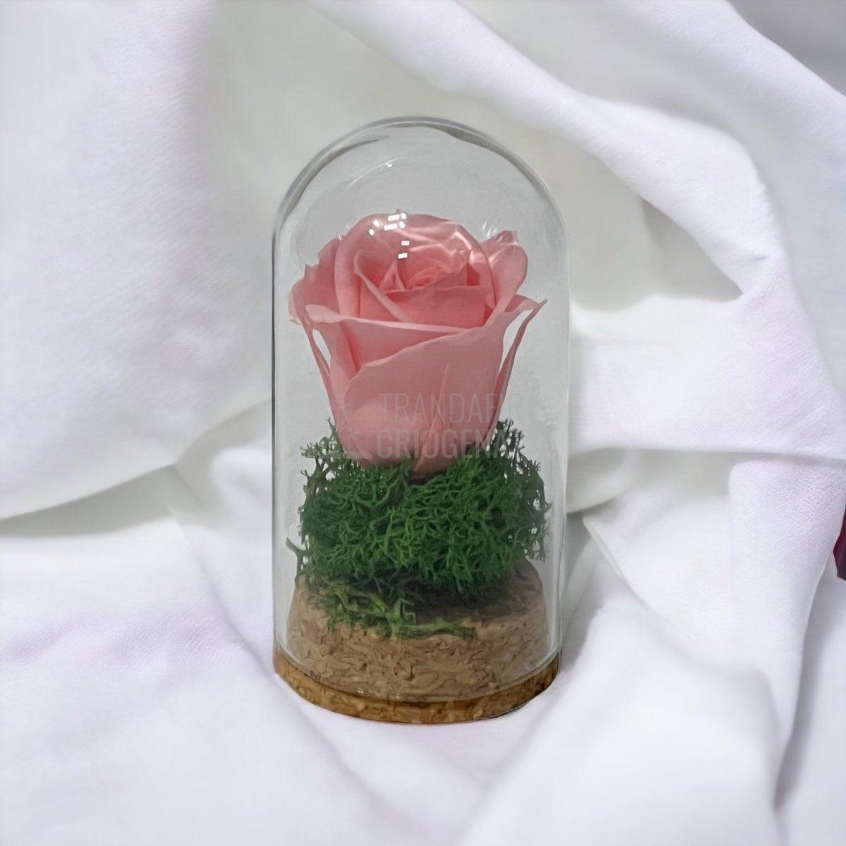 Trandafir Criogenat roz pal in cupola de sticla 5x9,5cm (marturie) - Trandafir-Criogenat.ro