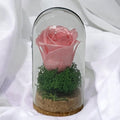 Trandafir Criogenat roz pal in cupola de sticla 5x9,5cm (marturie) - Trandafir-Criogenat.ro