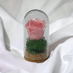 Trandafir Criogenat roz pal in cupola de sticla 5x9,5cm (marturie) - Trandafir-Criogenat.ro