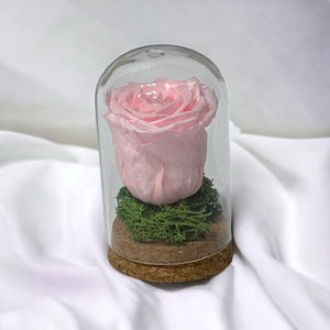 Trandafir Criogenat roz pal in cupola de sticla 7x12cm (marturie) - Trandafir-Criogenat.ro