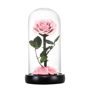Trandafir Criogenat roz pal Ø8cm in cupola de sticla 10x20cm - Trandafir-Criogenat.ro