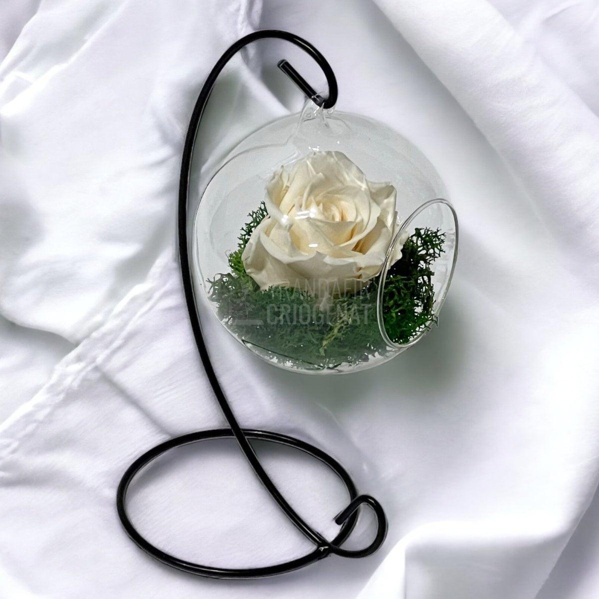 Trandafir Criogenat sampanie in glob sticla suspendat Ø10cm - Trandafir-Criogenat.ro