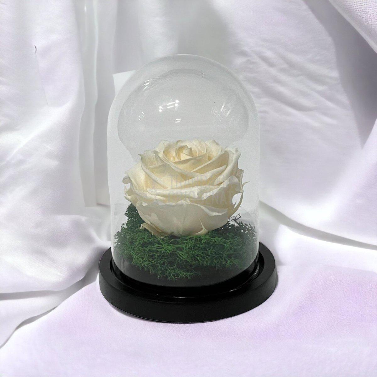 Trandafir Criogenat sampanie Ø8cm in cupola sticla 10x15cm - Trandafir-Criogenat.ro