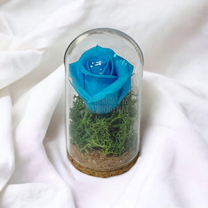 Trandafir Criogenat turquoise in cupola sticla 5x9,5cm (marturie) - Trandafir-Criogenat.ro
