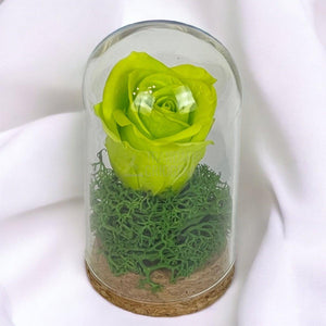 Trandafir Criogenat verde in cupola sticla 5x9,5cm (marturie) - Trandafir-Criogenat.ro