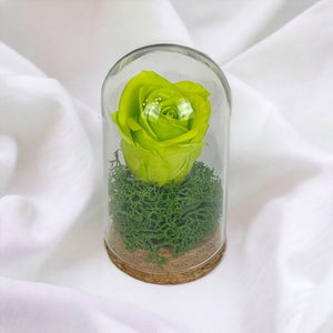 Trandafir Criogenat verde in cupola sticla 5x9,5cm (marturie) - Trandafir-Criogenat.ro